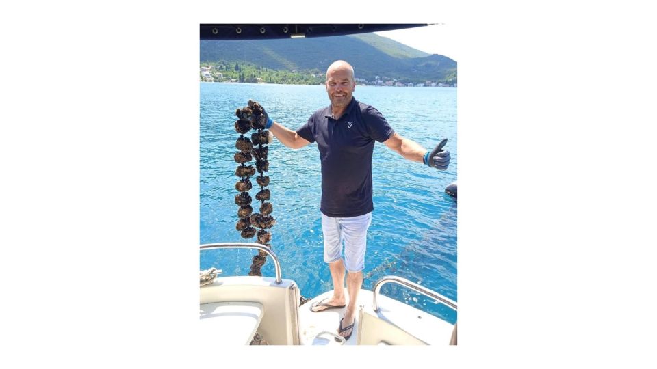 Dubrovnik: Private Transfer to Split With Oyster Tasting - Activity Overview