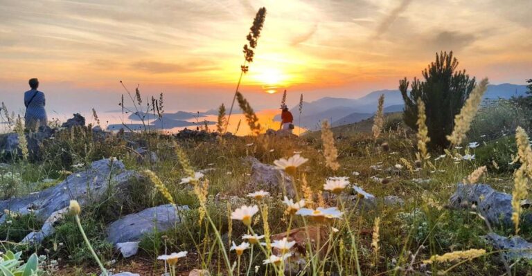 Dubrovnik: Sunset Panorama Tour With Glass Of Wine Tour Overview And Pricing