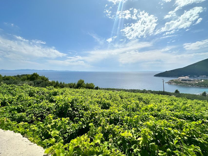 Dubrovnik: Wine & Gastro Private Tour to Pelješac Peninsula - Itinerary Highlights