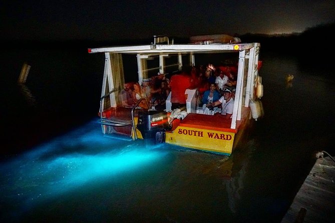 Dunns River Falls & Luminous Lagoon Guided Tour From Montego Bay Climbing The Falls