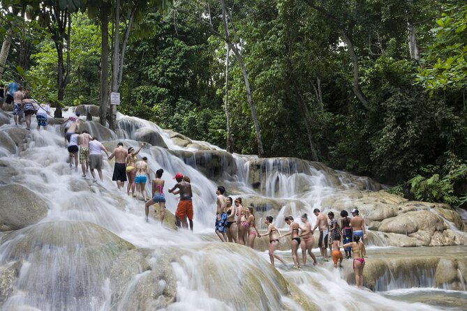 Dunns River Falls Plus Luminous Lagoon (glistening Water)private Tour Inclusions