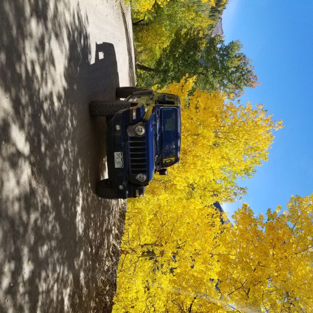 Durango: Backcountry Jeep Tour To The Top Of Bolam Pass Tour Overview