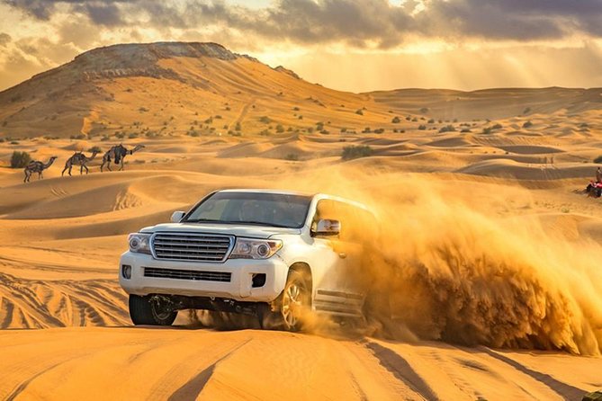 DXB Private Morning Desert Safari With Camel Ride N Sand Boarding - Tour Overview