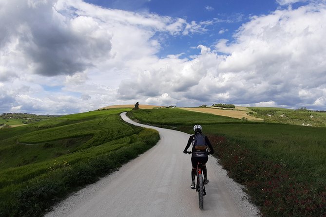 Ebike Tour With Organic Wine Tasting Tour Overview