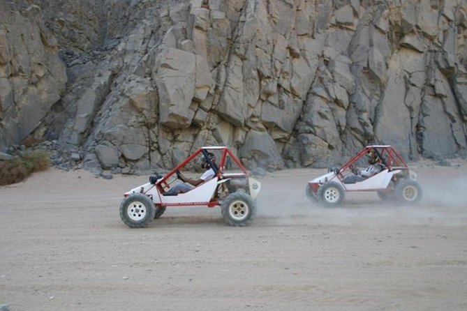 El Gouna Sahara Dune Buggy Morning Adventure Itinerary Highlights