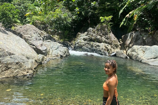 El Yunque Guided Waterfall Experience With Transport - Overview of the Experience