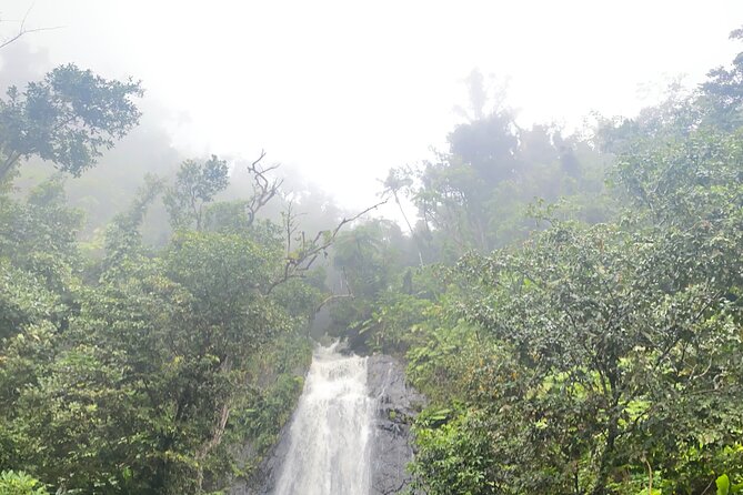 El Yunque National Forest Guided Tour With Transport - Overview of the Tour