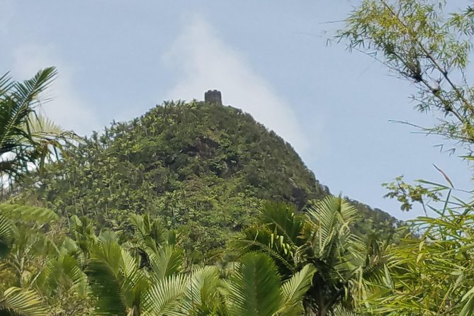 El Yunque Rainforest Full Day Private Tour - Pickup Information