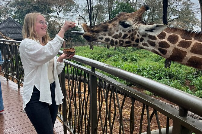 Elephant Orphanage,nairobi National Park And Giraffe Center Tour. Included Offerings