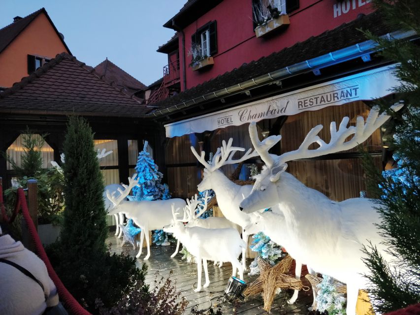 Enchanting Christmas Experience From Colmar - Tour Overview