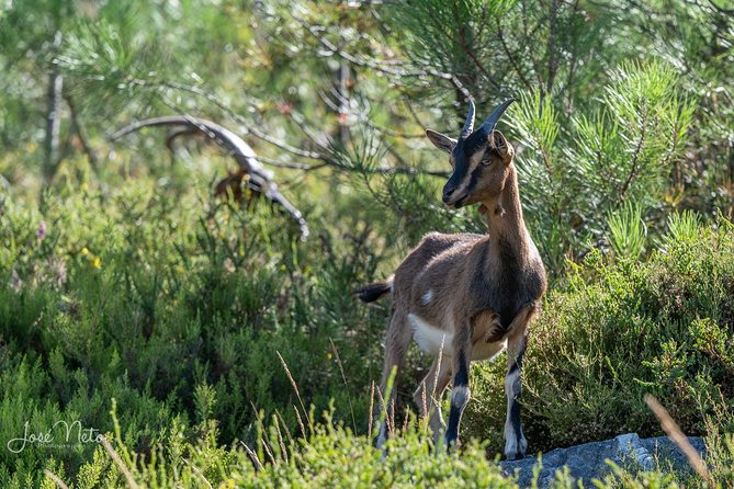 Ermelo Trail - Whats Included in the Tour