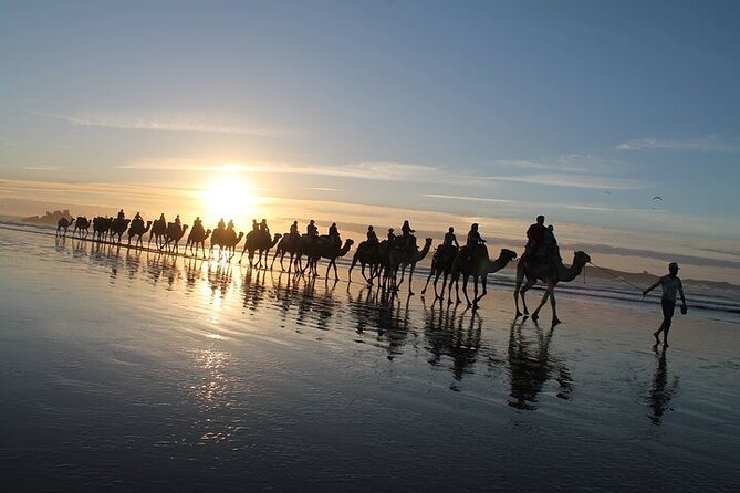 Essaouira: 2h/ Quad + 2h/ Dromedary Free Transfer Included Amenities