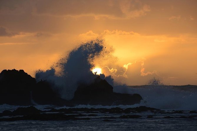 Essaouira Guided Tour: 3 on 1 - Nightlife Tour, Live Like a Local & Street Food - Optional Add-ons