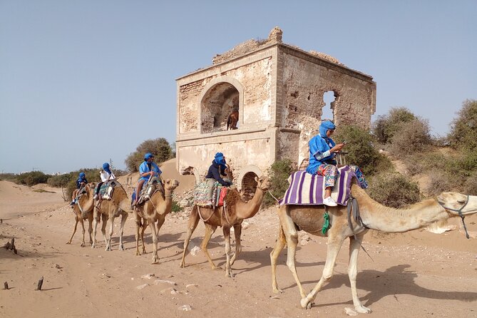 Essaouira Private Camel Ride (1 Hour). - Visiting the Portuguese Fort