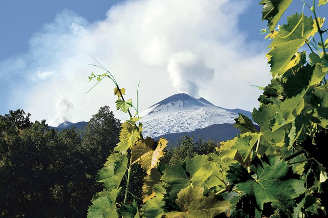 Etna And Wines Tour Inclusions