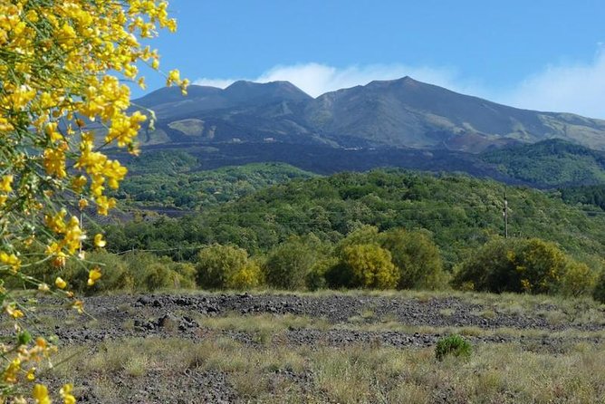 Etna Morning Tour From Syracuse - Tour Overview