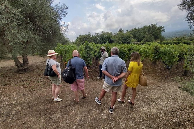 Etna Wineries Tour Small Groups From Taormina Overview Of The Tour