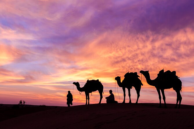 Evening Desert Safari With Bbq Dinner And Live Shows Dune Bashing And Activities