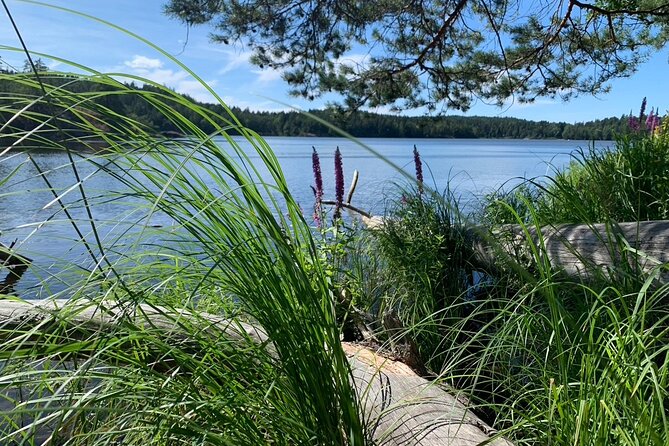 Evening Hike In Tyresta National Park Pricing And Booking