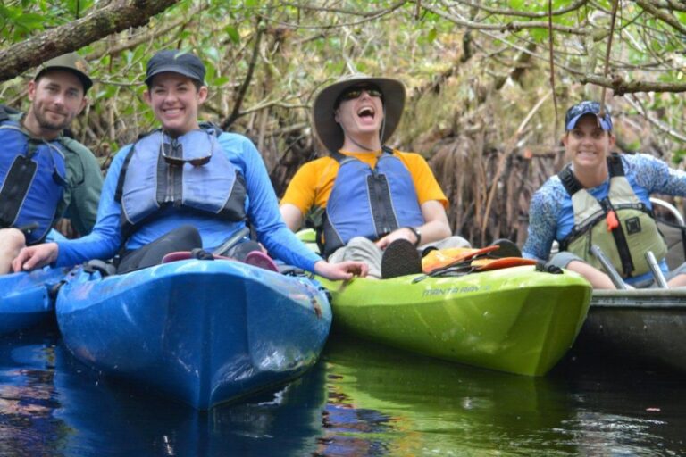 Everglades Kayak Safari Adventure Through Mangrove Tunnels Activity Overview