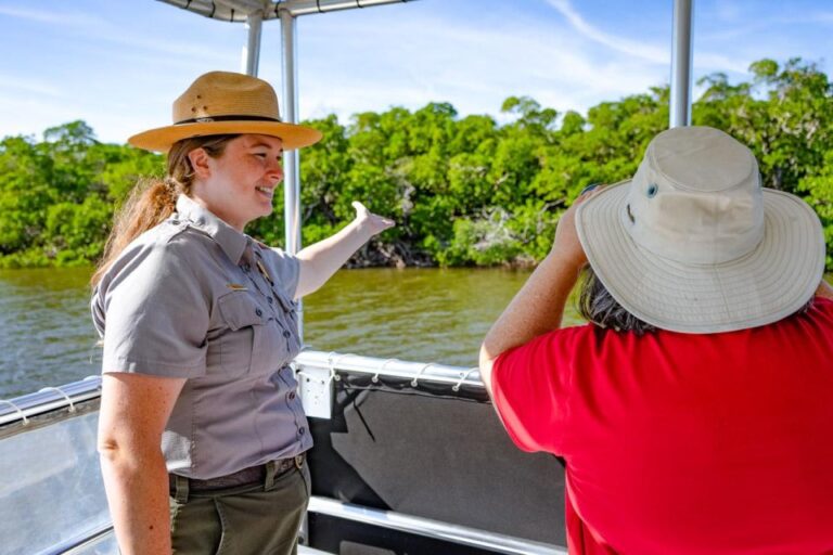 Everglades National Park: Pontoon Boat Tour & Boardwalk Tour Overview