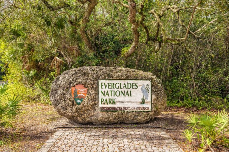 Everglades National Park: Self Guided Driving Audio Tour Tour Overview And Pricing