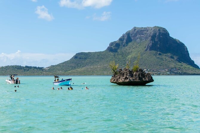 Exciting Dolphin Encounters In The Maurtiuss Lagoon Overview Of The Experience