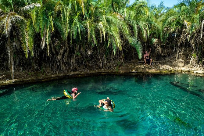 Exclusive Tour To Materuni And Kikuletwa Hotspring Inclusions