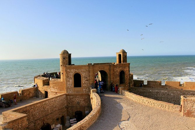 Excursion : Full Day Trip to Essaouira Mogador From Marrakech - Overview of the Excursion