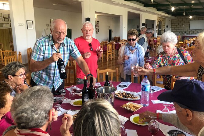 Excursion Visiting Wineries in Tenerife With Lunch - Overview of the Excursion