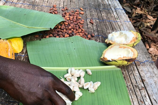 Experience Boti Waterfalls, Aburi Botanical Gardens & Tetteh Quarshie Cocoa Farm Overview Of The Tour