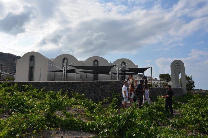 Experience Santorini Award Winning Wineries With Sunset & Snacks. Exploring Santorinis Volcanic Wine Terroir