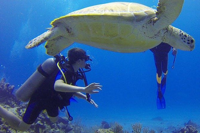 Experience Scuba Diving / No Certification Needed Tropical Coral Reefs