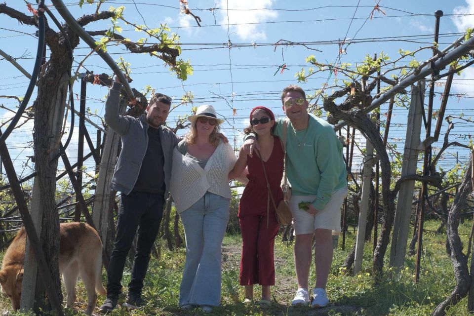 Experience the Minoan Grapes at a Local Vineyard - An Immersive Grape Experience