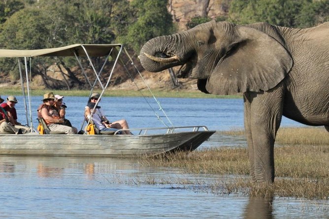 Explore Chobe National Park With A Day Trip From Victoria Falls Overview Of The Safari Tour