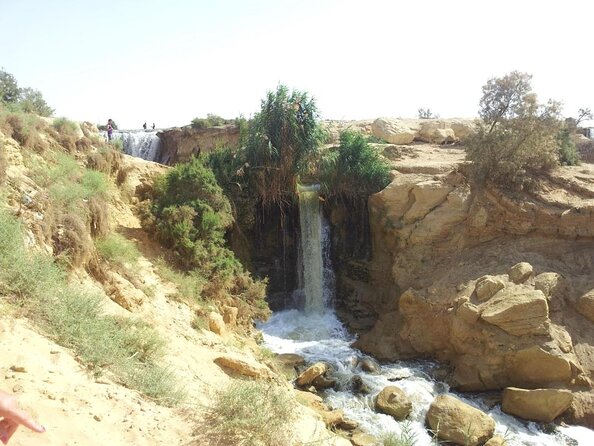 Explore Fayoum Oasis And Modawara Mountain ( Sand Board ) Included Services