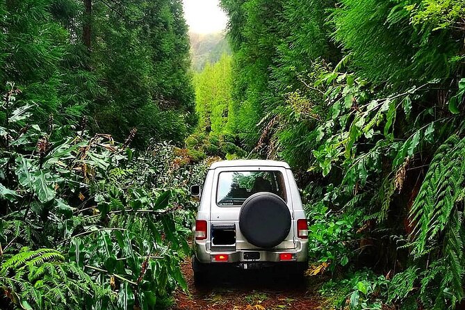 Explore Sete Cidades Nature Lovers Jeep Tour Tour Overview