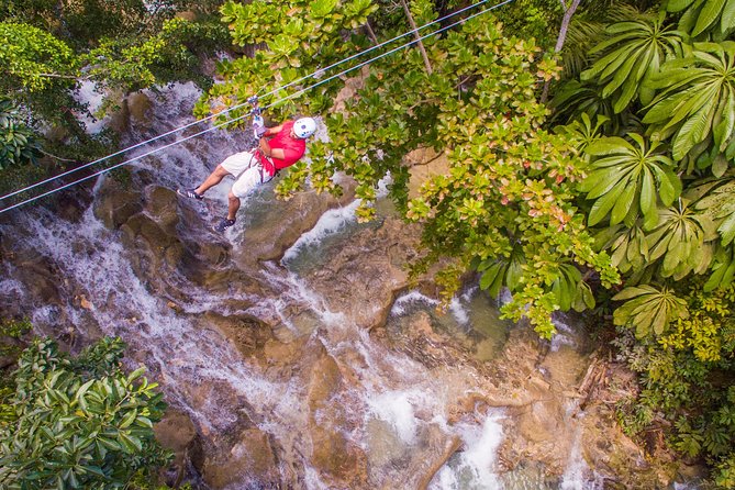 Falls Flyer Zipline And Dunns River Falls Adventure Tour From Kingston Overview And Tour Details