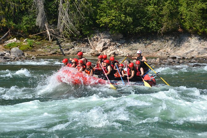 Family Friendly Whitewater Rafting - Overview of the Tour