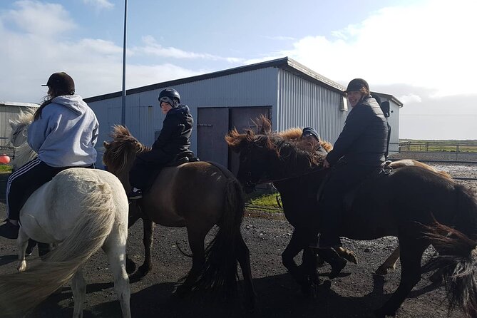 Family Horse Riding Tour In Thorlakshofn Tour Overview