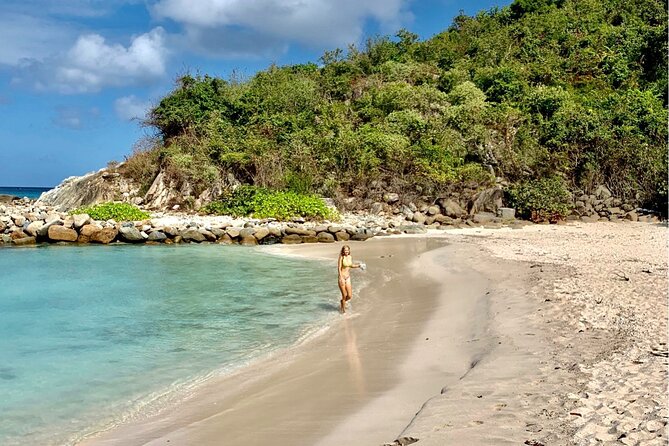 Family Snorkel Safari. ️Private Boat! - Snorkel Excursion Details