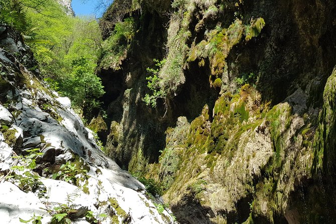 Ferriere Waterfalls Walk - Amalfi and Ravello Coast - Tour Details and Requirements