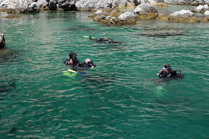 Fethiye Scuba Diving Experience Vibrant Coral Reefs And Colorful Fish