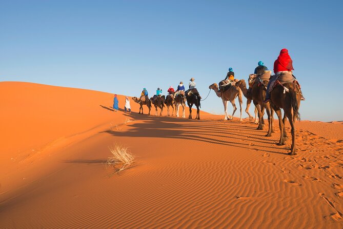 Fez To Sahara Desert Tour 3 Days 2 Nights Tour Overview