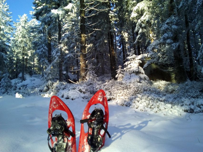 Fichtelgebirge: Snowshoe Hike - Activity Overview