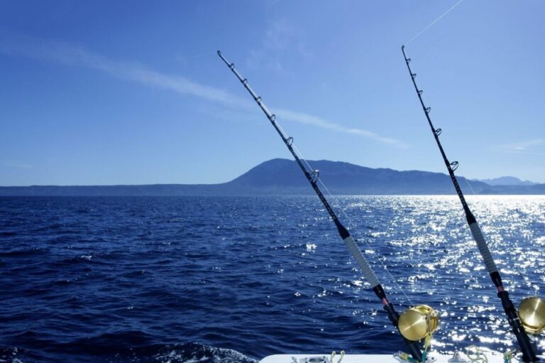 Fishing Tours Marathi (2 Hours) Overview Of Fishing Tours