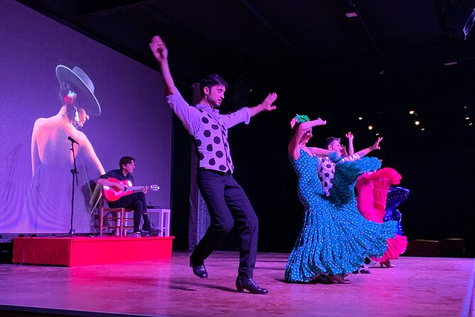 Flamenco Show at the Coliseo Theater in San Miguel - Overview and Experience