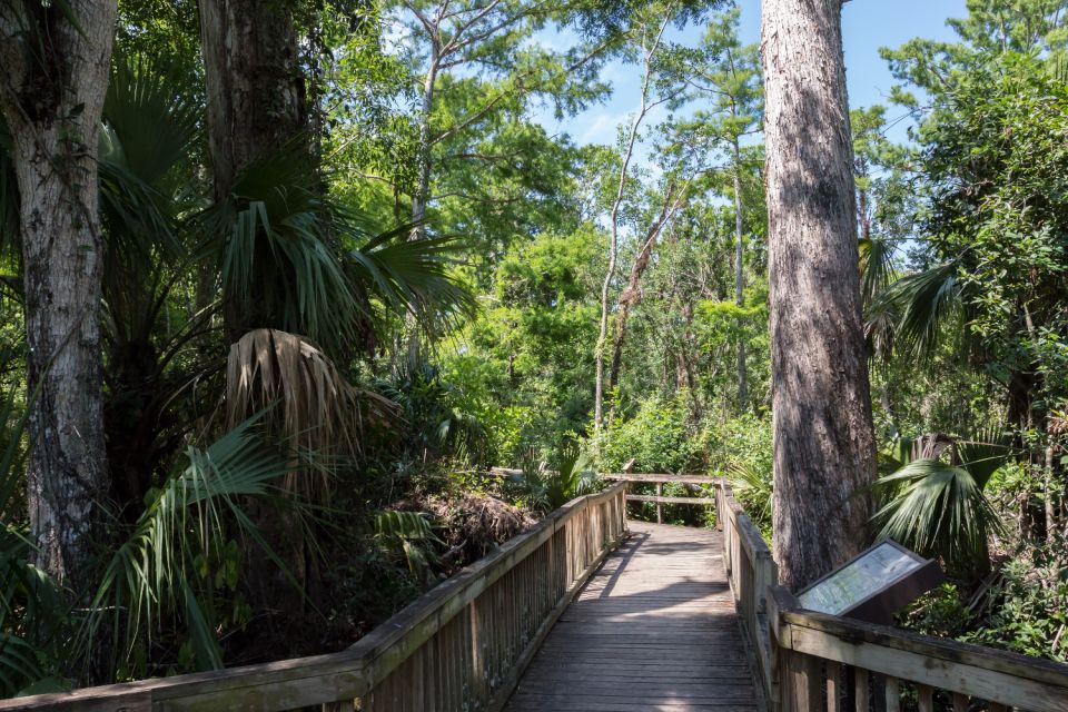 Florida: Big Cypress National Preserve Driving Audio Tour - Tour Overview and Pricing