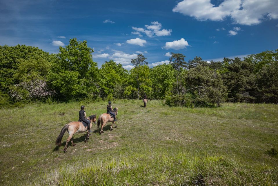 Fontainebleau: Horse-riding, Gastronomy & Château - Location and Cost