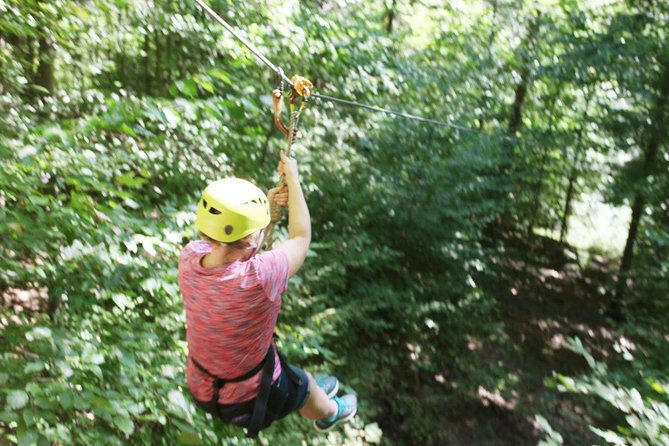 Fontanel Zipline Forest Adventure At Nashville North Overview And Experience